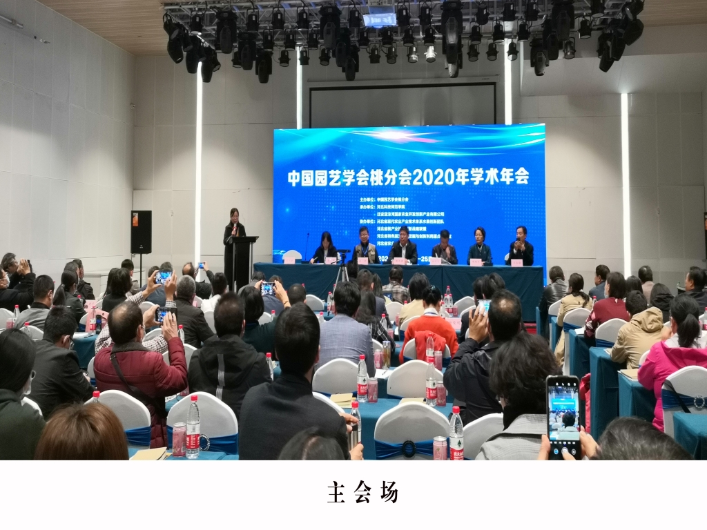 主会场 主会场