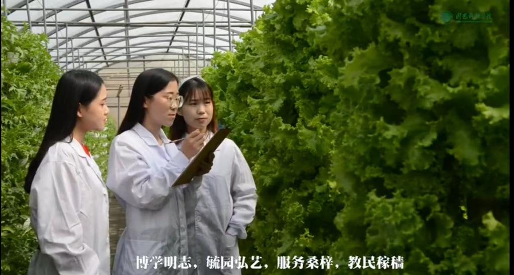365集团招生宣传短片